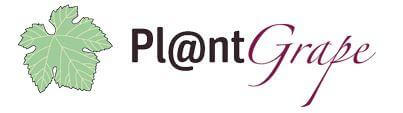 Logo-Plantgrape